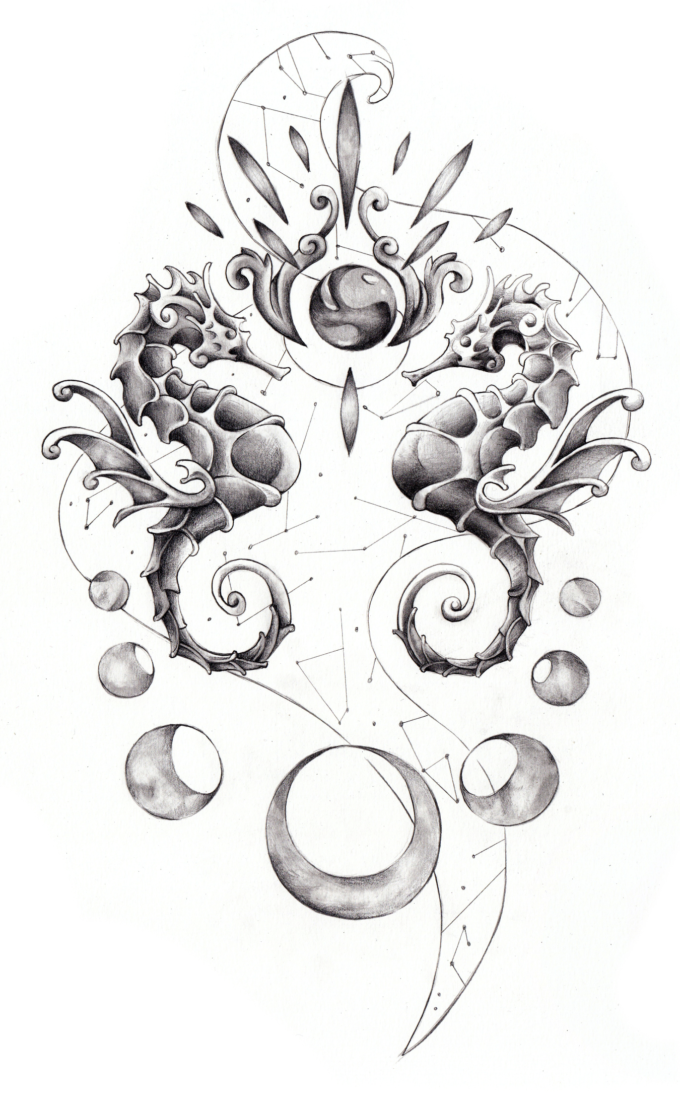 Ilustración de unos caballitos de mar